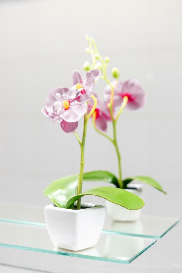 My Place @ Faro Duplex 외부 사진